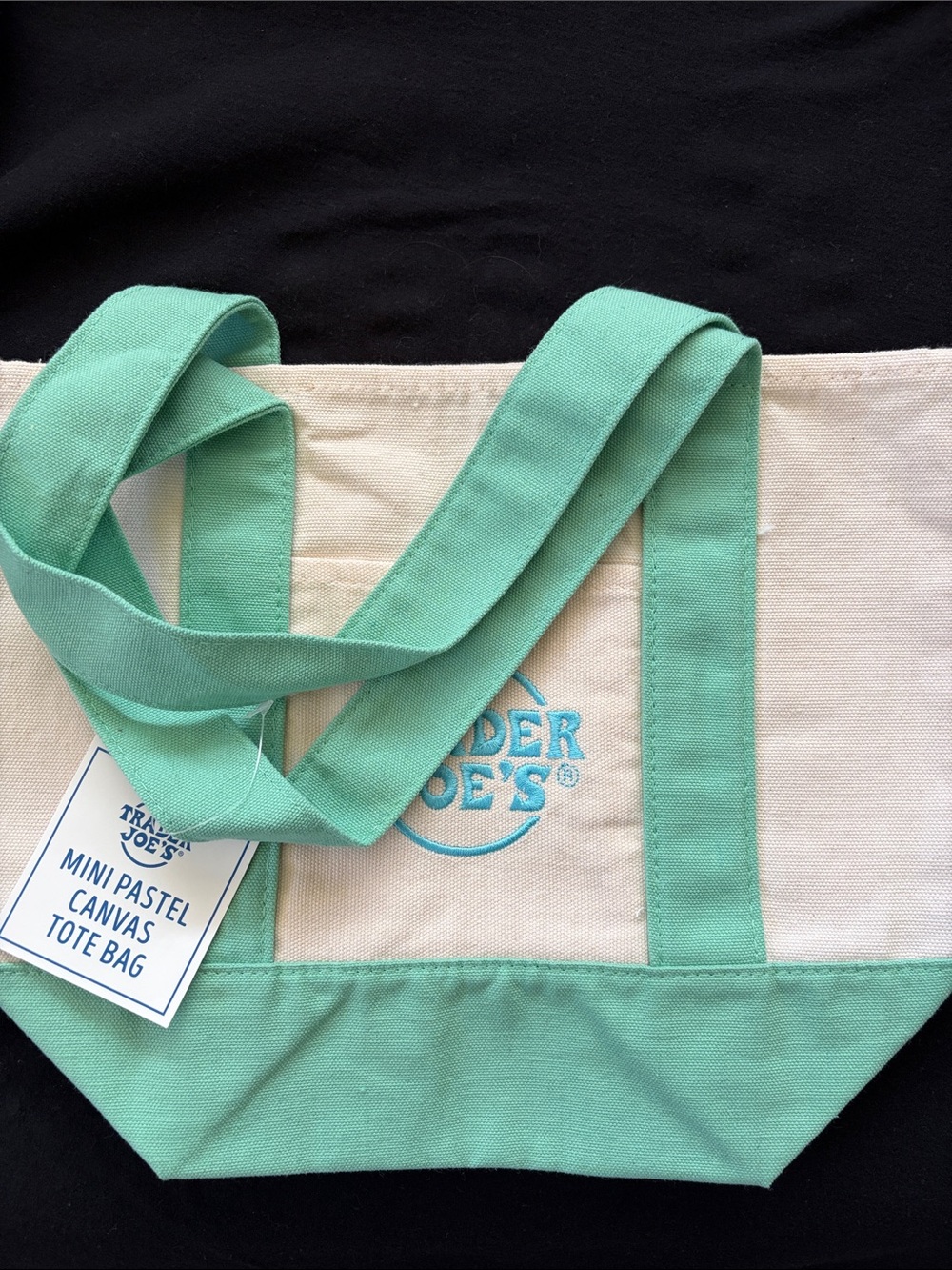 Trader Joe's Mini Pastel Canvas Tote Bag in Mint
